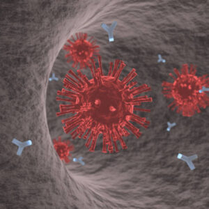 Covid Antibody Test (IgM-IgG)