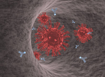 Covid Antibody Test (IgM-IgG)