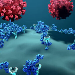 COVID ANTIBODY IGG – ELISA