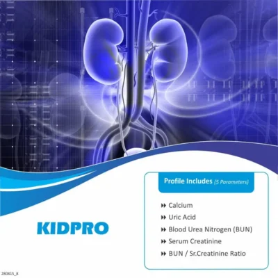 KIDNEY PROFILE TEST