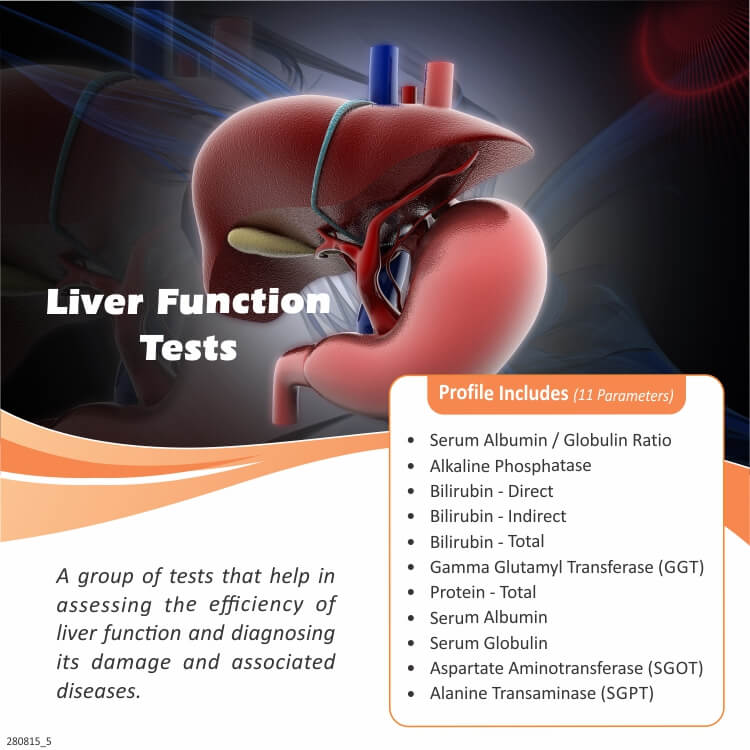 lft-liver-function-tests-550-only-free-home-visit