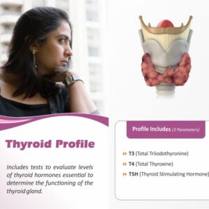 Thyroid Test (T3-T4-TSH)