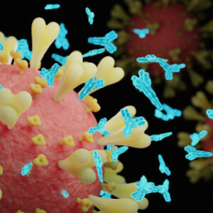 COVID ANTIBODY IGG (C.L.I.A)