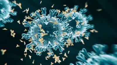 COVID ANTIBODIES TOTAL (CLIA)